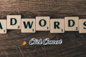 Google AdWords Alpha – 3 Things You Need to Know